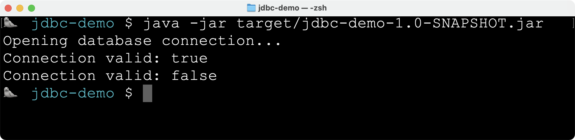 JDBC Demo Output