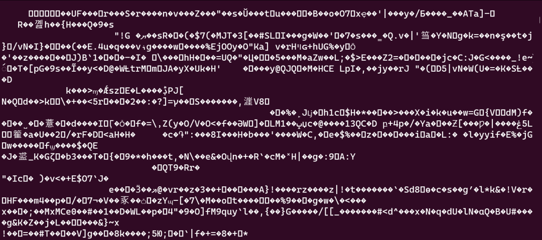 Screenshot of a terminal containing a long string of unintelligible text including alphanumerical values as well as symbols and characters that cannot be rendered. It legitimately looks like alien writing