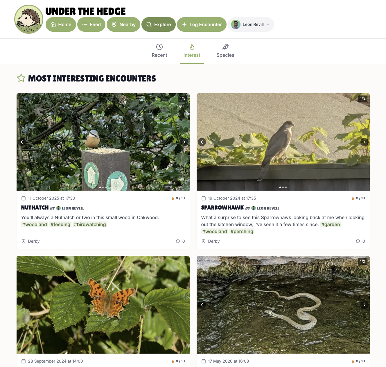Under the Hedge: Connect Through Wildlife