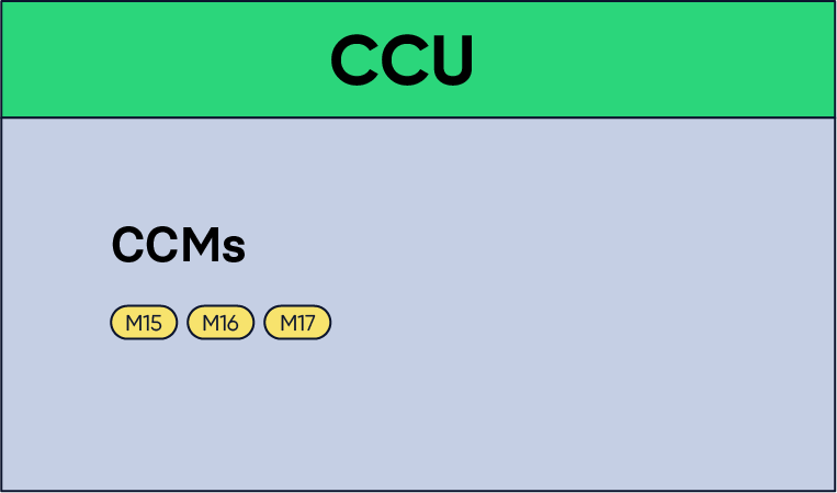 Figure 9: A CCU containing the CCMs from M15 to M17. Notice that no certificate is included in this CCU.