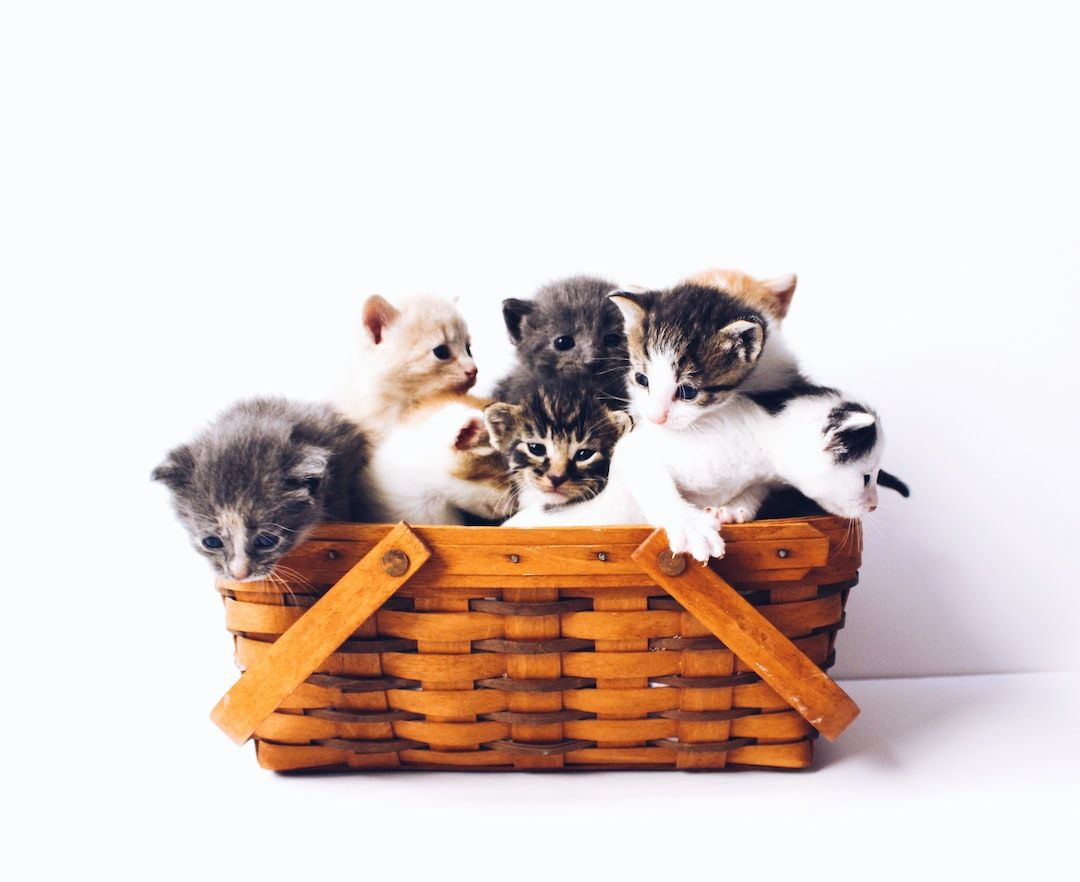 Stakeholder Management 101 – The Simplest Explanation Ever