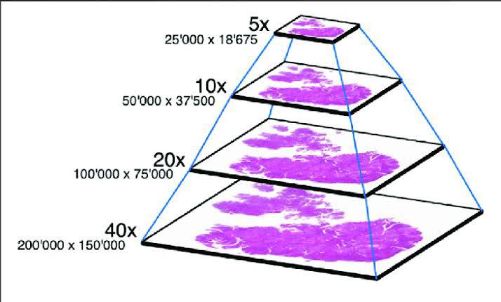 Pyramidal structure of the virtual slide