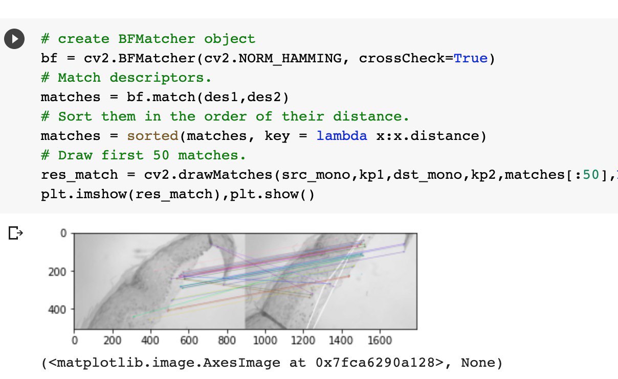 Excerpt from a Jupyter notebook with keypoint debugging for shift detection