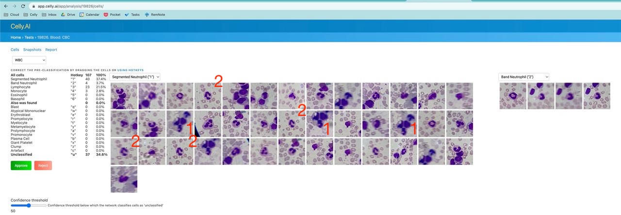 Image from the portal showing duplicate cells