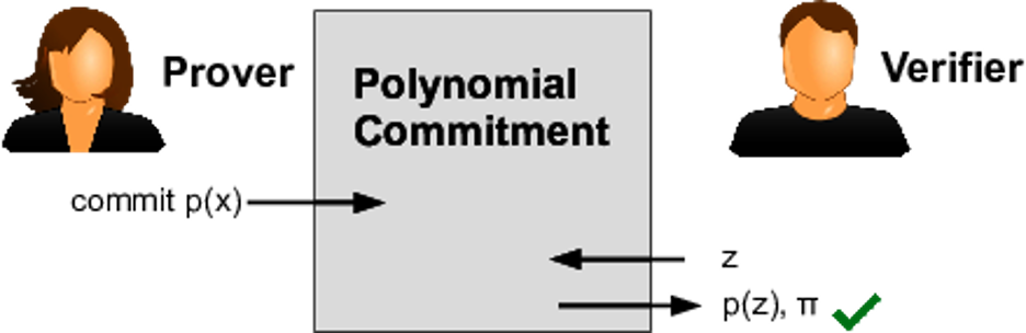 Полиномиальное обязательство доказательства с нулевым разглашением (Источник: Hermez)
