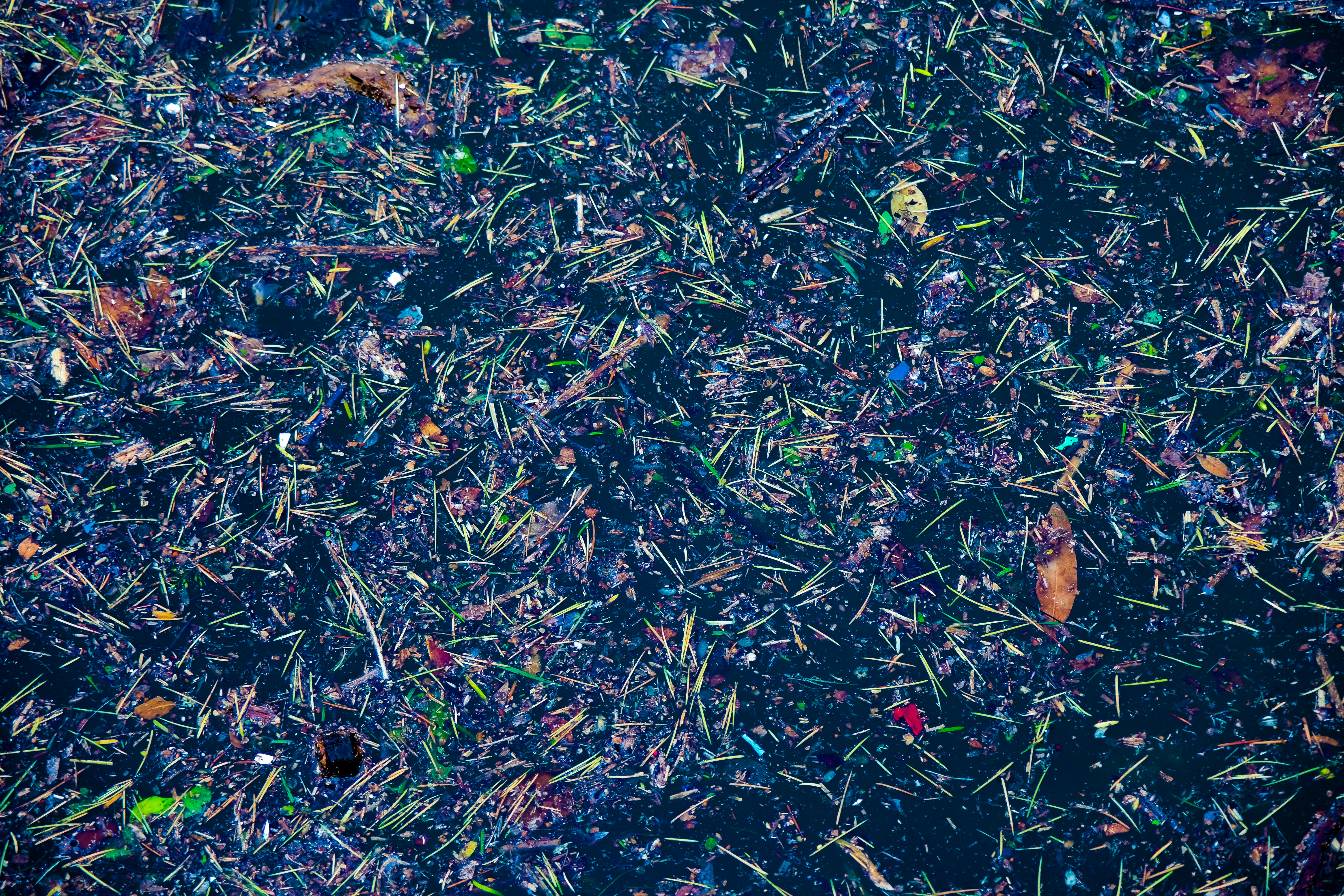 A Conversation with Kashmir Hill: Envisioning a Chaotic Future