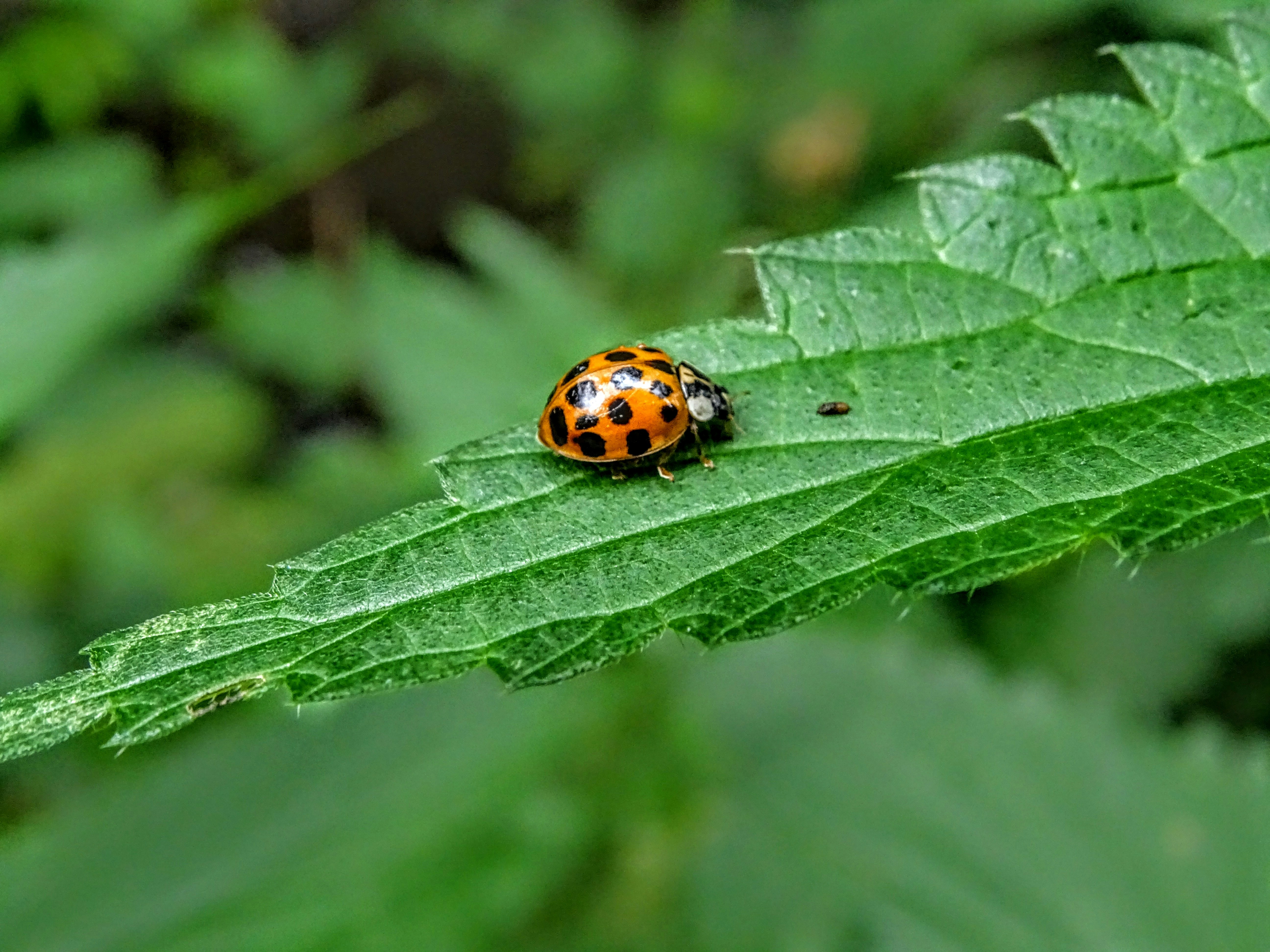 The Markup and the Curious Case of the Tricky Timeout Bug