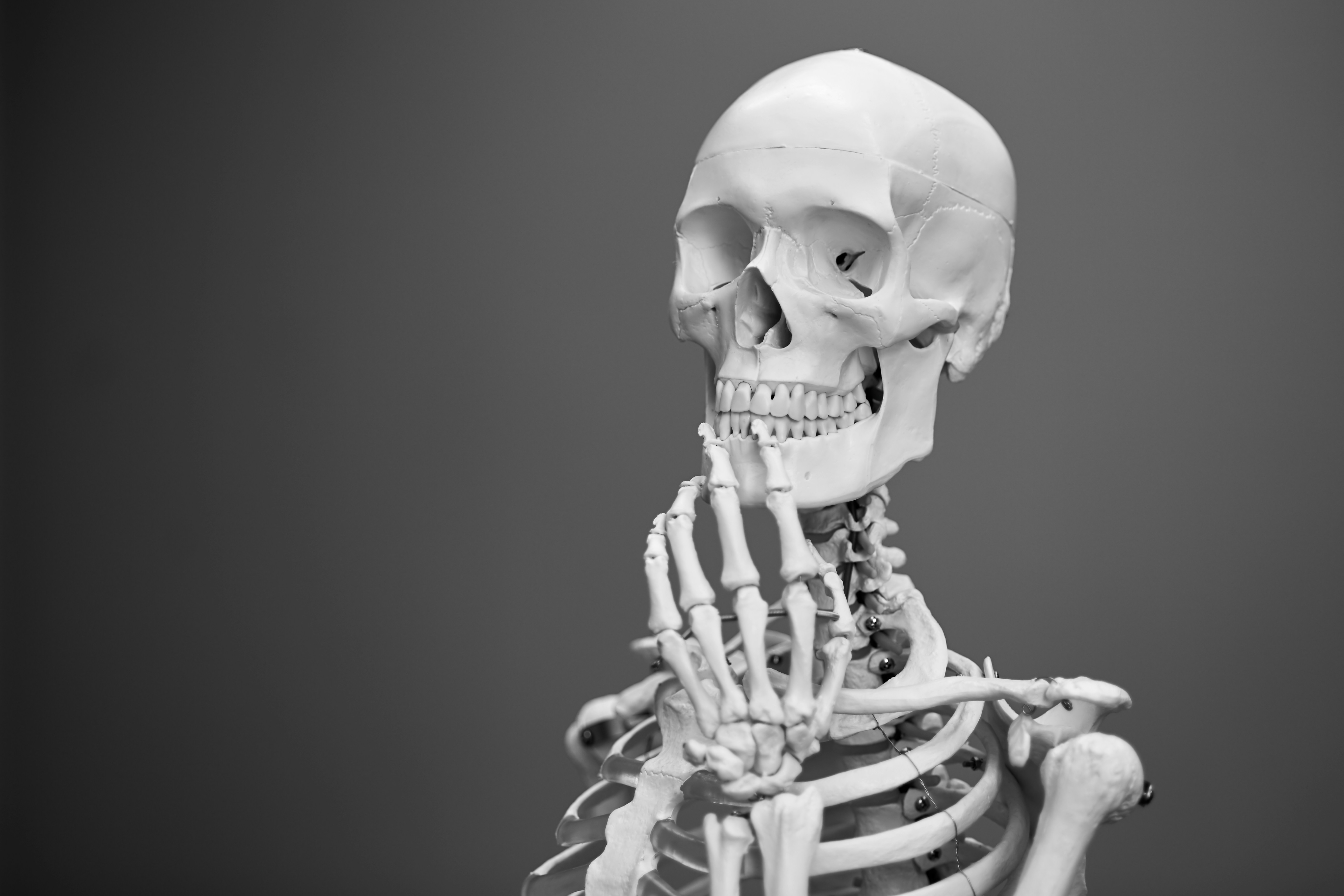 The Skeleton Modifier 3D: Its Design, Plus More