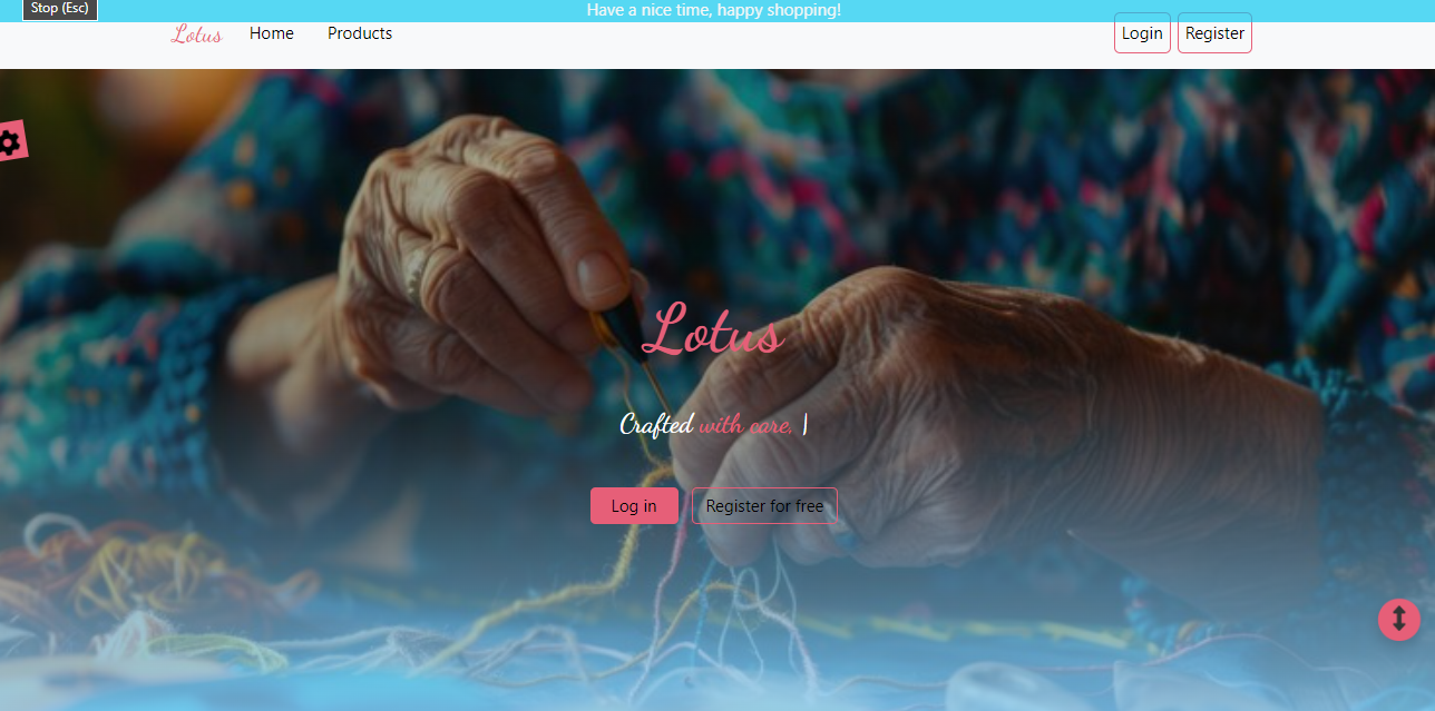 My Little Journey Constructing LOTUS Website!