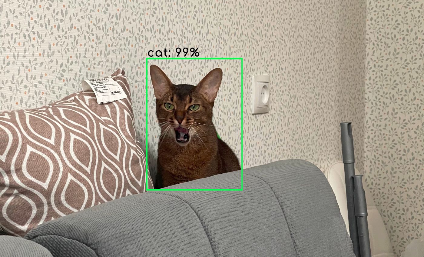 Object Detection Frameworks That Will Dominate 2023 and Beyond