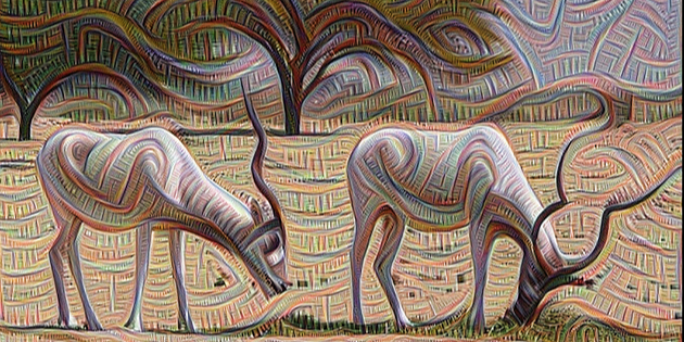 A Deep Dive into DeepDream