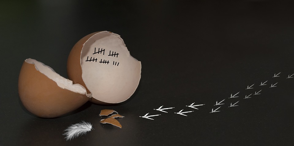 The Internet was born centralized but is now strolling towards decentralization.