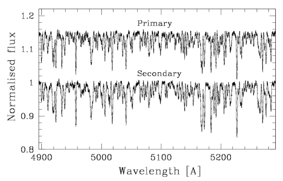 Figure 5. Portion of disentangled spectra in the spectral range 4900–5290 Å. The similarity between the spectra of both components is obvious.