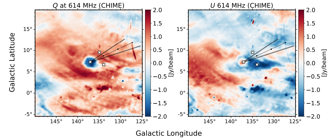 Figure 2. Images of the tadpole region in Stokes Q and U at 614 MHz in Galactic coordinates. The ‘×’ markers indicate the position of B2(e) star HD 20336 (the × near the center of the circular tadpole head) as well as the selected spectra shown in Figure 7. The thin black line represents the Local Standard of Rest (LSR)-corrected proper motion of HD 20336, projected backwards in time over 3 Myr, with each dot representing 1 Myr. The translucent lines represent the error cone, which is dominated by the uncertainty in the LSR correction.