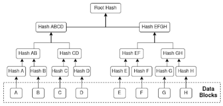 Fig. 3: Merkle Root Hash