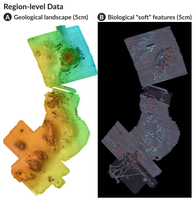  (A) geological landscapes, such as locations of hydrothermal vent mounds and chimneys, visualized by topography from AUV and lowaltitude survey system (LASS) multibeam surveys; and (B) surface biological and ephemeral “soft” features, such as white patches of microbial mats growing in hydrothermal fluids, visualized by photomosaics, acoustic backscatter and LIDAR bathymetry. DeepSee solves a critical challenge of combining region-, core-, and sample-level data in a single interface using expressive and interactive visualizations (Sect. 5).