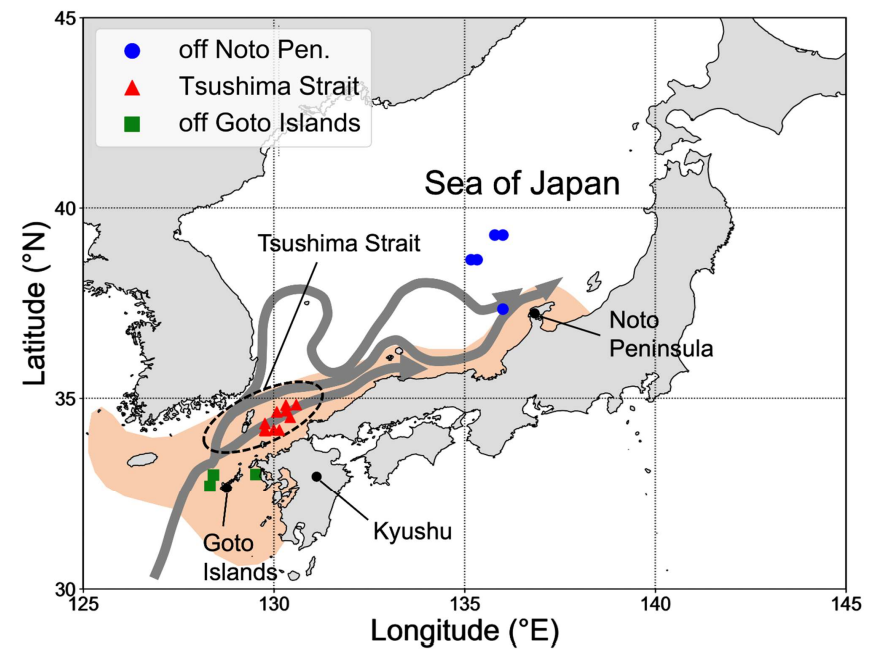  Study area in the Tsushima Warm Current stock. Blue, red, and green points indicate the locations of sampling stations. Gray arrows show the branches of the Tsushima Warm Current (based on Yabe et al., 2021). Orange area indicates the spawning ground of Japanese sardine in the Sea of Japan (based on Yasuda et al., 2019). 