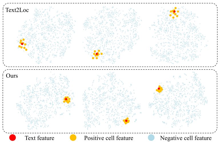 Figure 2: T-SNE visualization for the text features and cell features in the coarse stage.