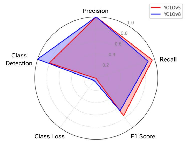 Figure 25. Radar chart comparing performance of YOLOv5 and YOLOv8
