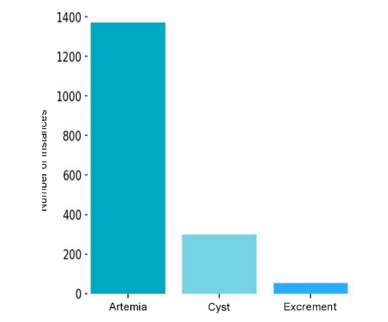 Figure 2. Number of class-instances