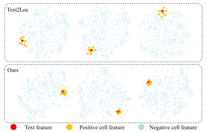 Figure 8: T-SNE visualization for the text features and cell features in the coarse stage.