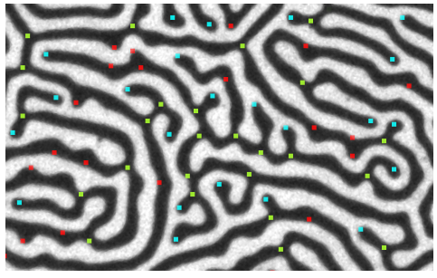 FIGURE 2. Defects in the magnetic labyrinth patterns. Junctions are marked in green and terminals in cyan. Red dots indicate false positives from the template matching, which are filtered out by the CNN classifier.