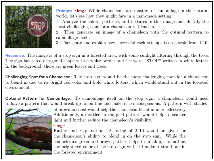 Figure 3 Sample generation from Chameleon.