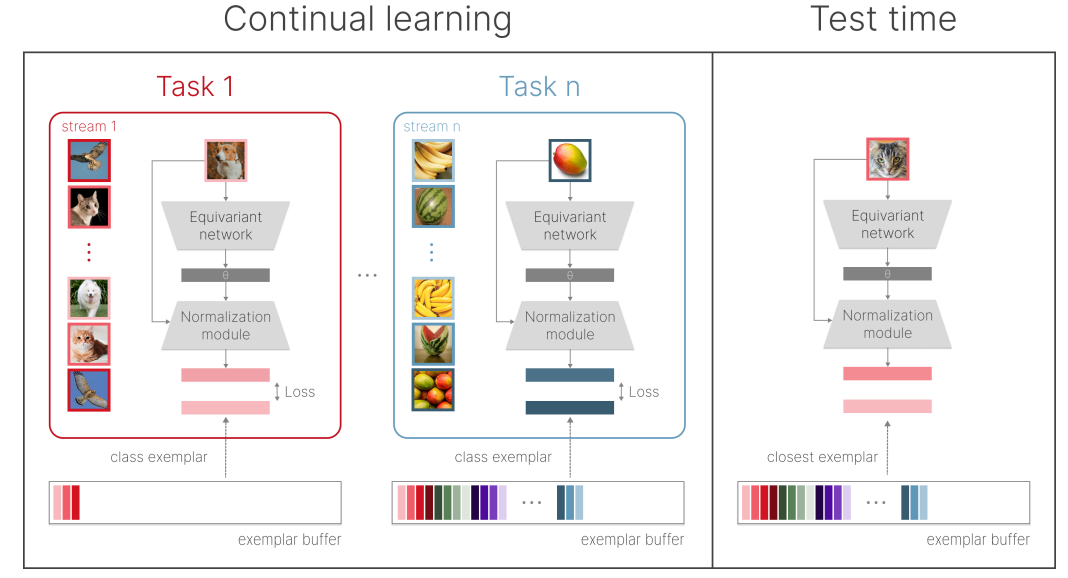 Figure 1. Schematic illustration of our disentangled learning framework, which consists of three main modules transferred across tasks: (i) an equivariant network that estimates the parameters of the normalization transformation, (ii) a normalization module that outputs a standardized version of the input image based on the predicted parameters, and (iii) a buffer that stores class-specific exemplars. During training, we minimize the loss between the output of the normalization module and the corresponding class exemplar. At test time, we return the label of the exemplar that is closest to the normalized input.