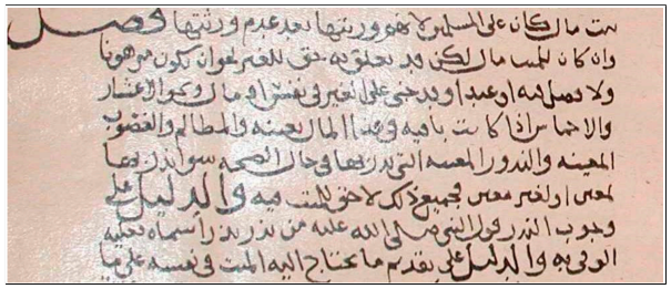 Figure 4: Uneven illumination in handwritten historical document from Arabic databases (Sulaiman et al., 2019)