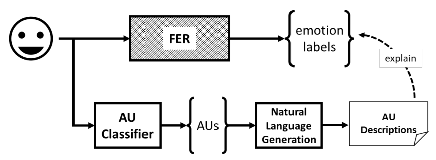 Fig. 3. A graphical representation of the overall explainability model.