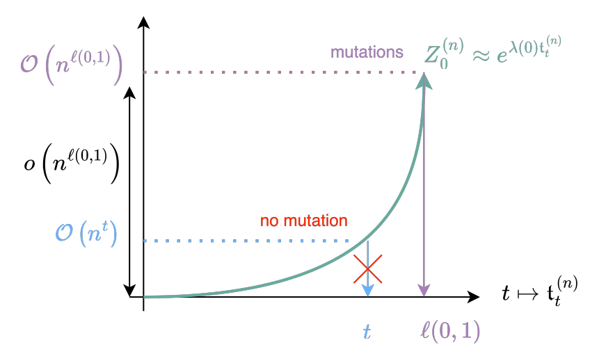 Figure 2: Heuristics for the first occurrence time of mutant cells