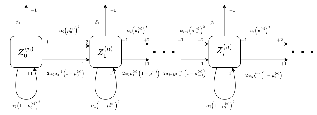 Figure 5: Dynamical representation of the infinite mono-directional graph