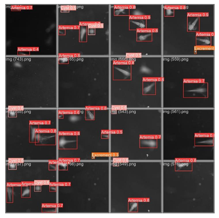 Figure 13. YOLOv5 pre-trained model training outputs