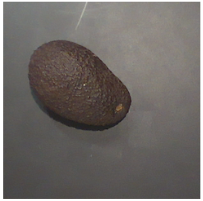 Fig. 8. Cropped Avocado Image for Vision-only Property Prediction.