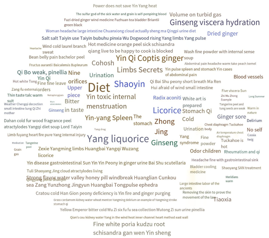 FIG. 2 Word cloud map of key entities in representative works of Yi-shui School