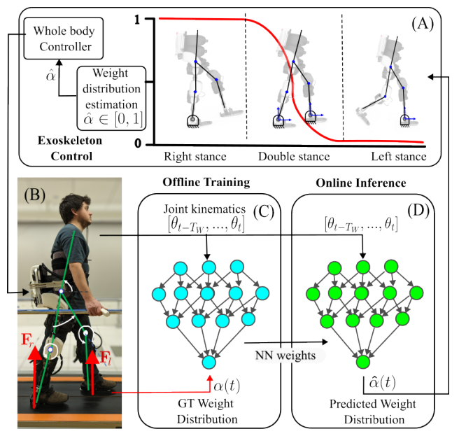 Fig. 1: Weight-distribution regression: a deep-learning approach is used to estimate the weight distribution (α) of a user-exoskeleton couple in real-time and to control the robot accordingly. Part (A) and (B) of the schema, Sec.II-A, provides an overview of the exoskeleton hardware and controller as well as the calculation of α using force sensors applied to the feet and used as ground truth value. Part (C), Sec. II-B, presents the structure of the deep-learning model and its offline training using a time-window (300ms) of kinematics information as input and ground truth values of α as output. Part (D), Sec II-C, displays how the trained model is used in the closed-loop control to predict the weight distribution (α) using kinematic information. The estimated values are passed in real-time (inference time < 1ms) to the exoskeleton controller.