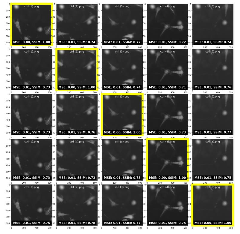 Figure 5. SSIM and MSE values of some sample of controlled concentration