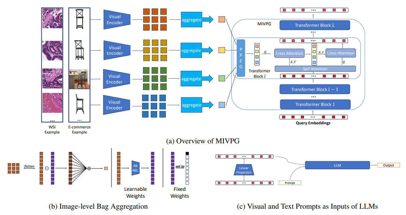 Figure 2. Overview of MIVPG. 2a: When handling multiple visual inputs, the initial step involves aggregating them at the image-level. QFormer can be treated as a Multiple Instance Learning module that takes multiple samples as instances. The MIVPG complements QFormer by introducing a correlated self-attention module and the pyramid positional encoding module, depending on specific scenarios. 2b: Image-level aggregation can employ various MIL strategies, either learnable, such as AB-MIL, or fixed, for example, always selecting a specific token. 2c: The visual prompt embeddings produced by Q-Former are combined with textual prompt embeddings and forwarded to the LLM for generating outputs.