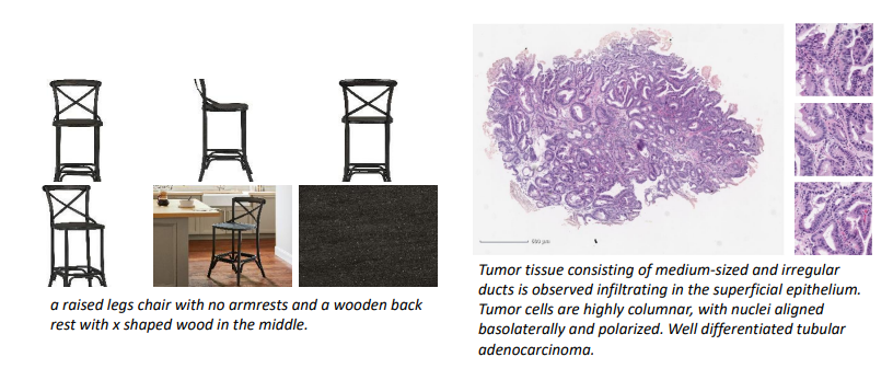 Figure 1. Left: Exemplary images from [7], portraying ecommerce products captured from various aspects. Right: Illustration of a Whole Slide Image (WSI) sourced from [36]. Each WSI is composed of multiple patches, exhibiting dimensions comparable to those of natural images.