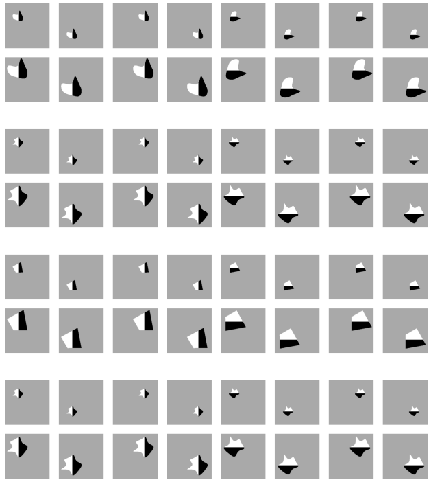 Figure 2. A batch of images from the Infinite dSprites dataset containing four distinct shapes. Each shape is shown in all combinations of four factors of variation (horizontal and vertical position, orientation, and scale) with two possible values per factor.