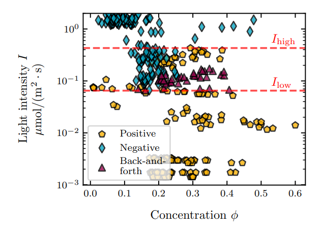 FIG. 5. Phase diagram for the phototactic behavior of 367 populations of algae, as a function of light intensity and algae concentration.