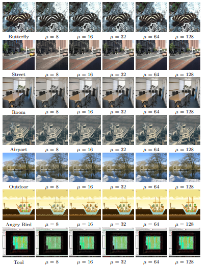  Images resulting from compression with various µ