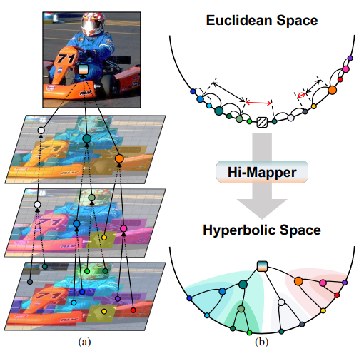 Figure 1. (a) A visual scene can be decomposed into a hierarchical structure based on the semantics of each visual element. (b) Euclidean space is suboptimal in representing the hierarchical structure due to its flat nature. The relational distance is inaccurately captured, being unaware of the semantic similarity of visual elements (Red line). Hi-Mapper maps the hierarchical elements in hyperbolic space, which effectively preserves their semantic relations and distances due to its constant negative curvature.