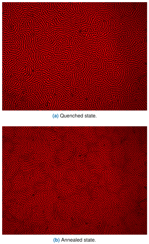 FIGURE 1. Examples of magnetic labyrinthine patterns.