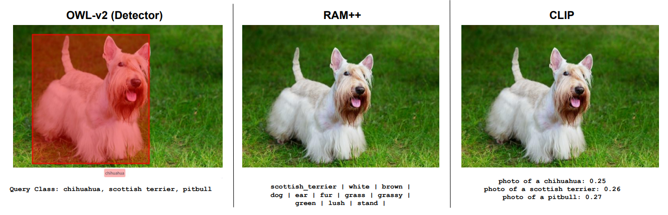 Figure 19: Qualitative Results comparing OWL-v2, RAM++ and CLIP. We show qualitative examples across three different models: OWL-v2, RAM++ and CLIP on fine-grained concepts.