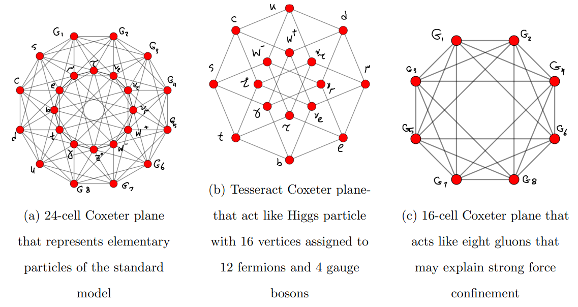  representation of fundamental particles on vertices of 24-cell, 16-cell and Tesseract