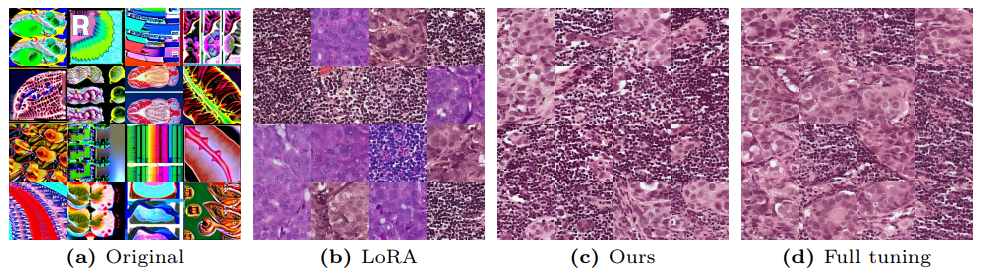 Fig. 19: Images sampled from Stable Diffusion checkpoints fine-tuned on the Patch Camelyon.