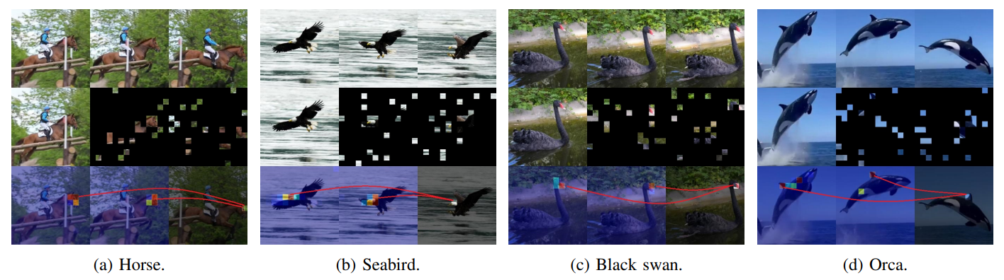 Fig. 4: Cross-attention maps from a ViT-S/16 decoder (samples from DAVIS-2017 [9]). We visualize the attention of themask patch to be reconstructed in the third frame towards the visible patches in the first and second frames at the average