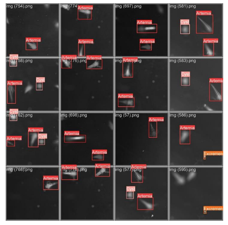 Figure 21. YOLOv8 pre-trained model training outputs