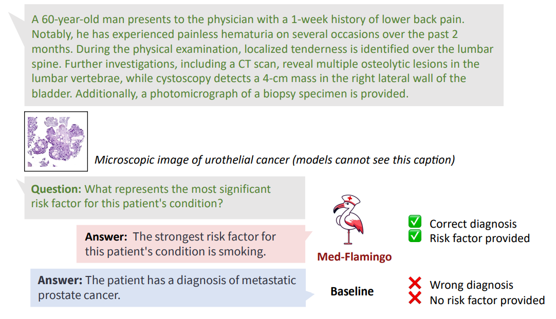 Figure 6: Example of a Visual USMLE problem.